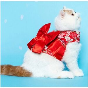 Red Floral Bow Cat/Small Dog Kimono Harness with Matching Leash
